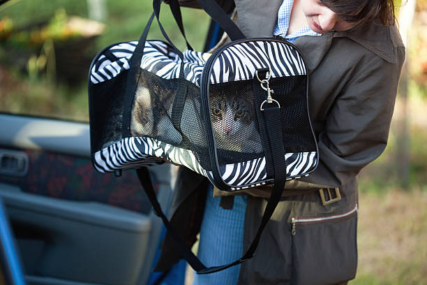 pet carriers