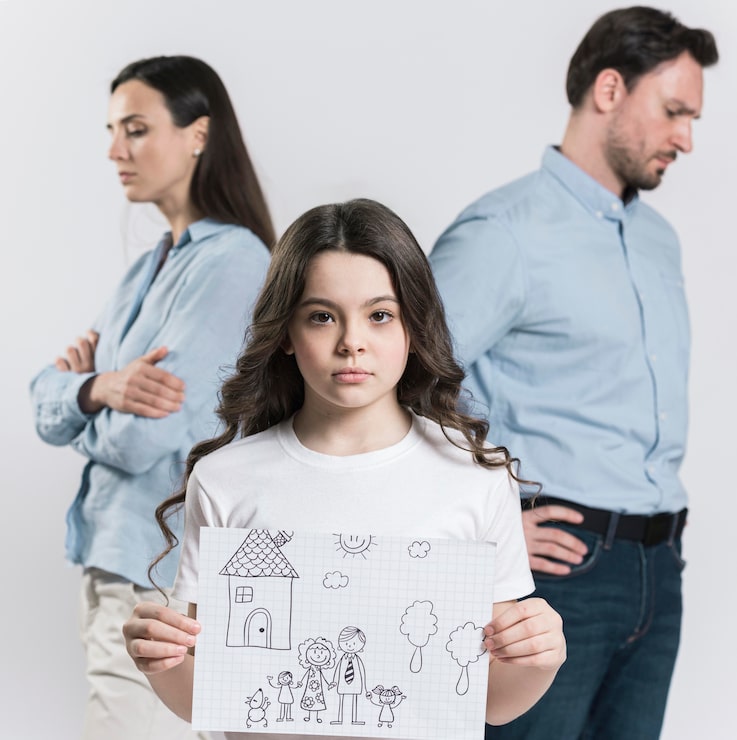 family custody lawyer