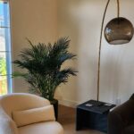 indoor plant care