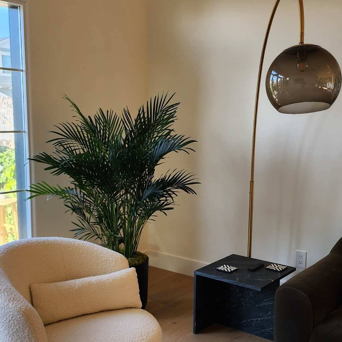 indoor plant care